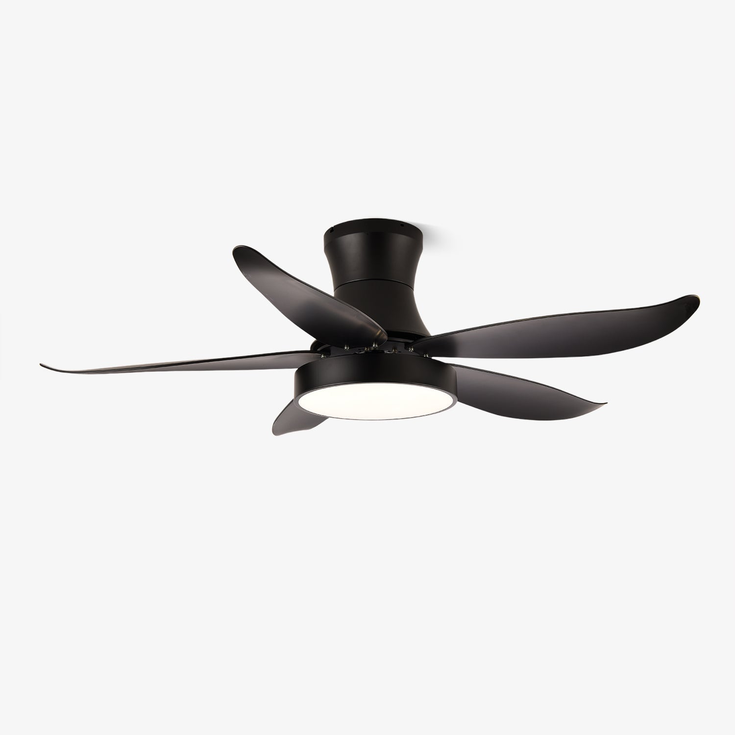 Zephyr Noir Luxe Sculpted Ceiling Fan Light