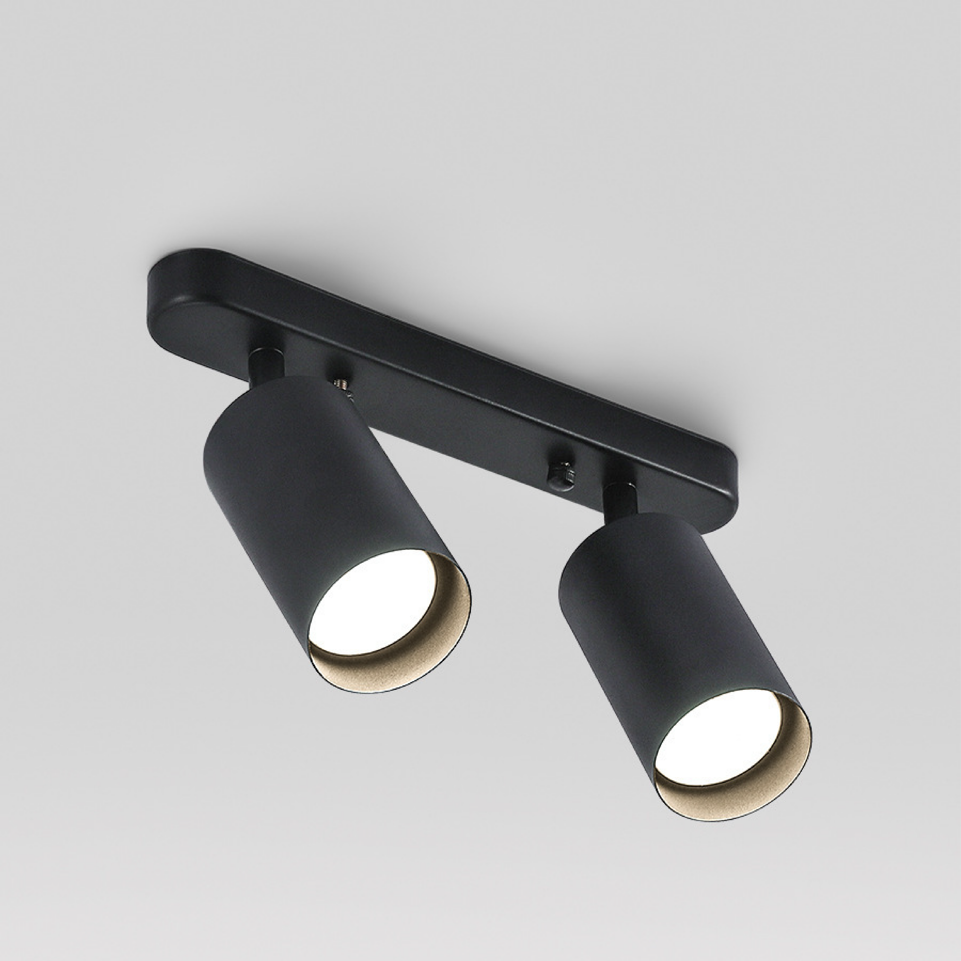 Rotatable 2 Head Spot Ceiling Light