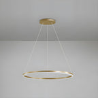 Sculptural Ring Pendant Ceiling Light