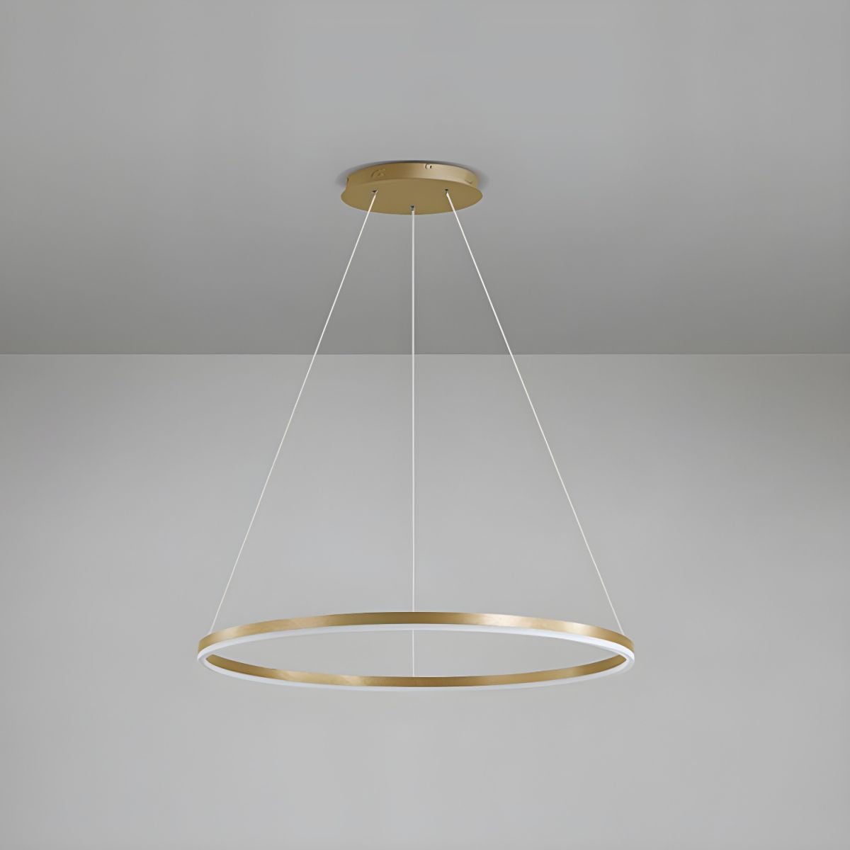 Sculptural Ring Pendant Ceiling Light