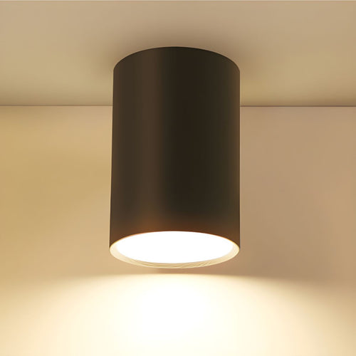 Architectural Matte Black Cylinder Flush Mount