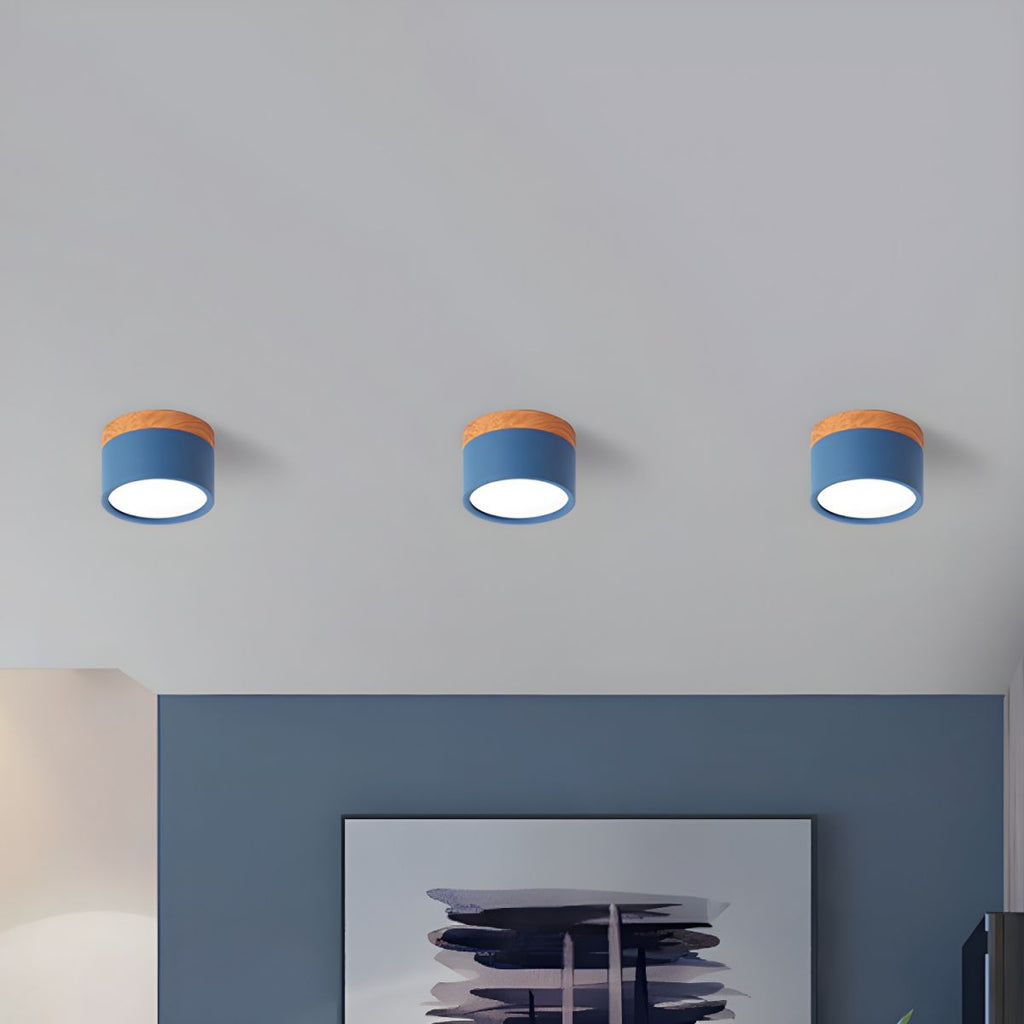 Sculpted Macaron Cylinder Ceiling Light
