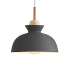 Modern Artisan Hanging Fixture