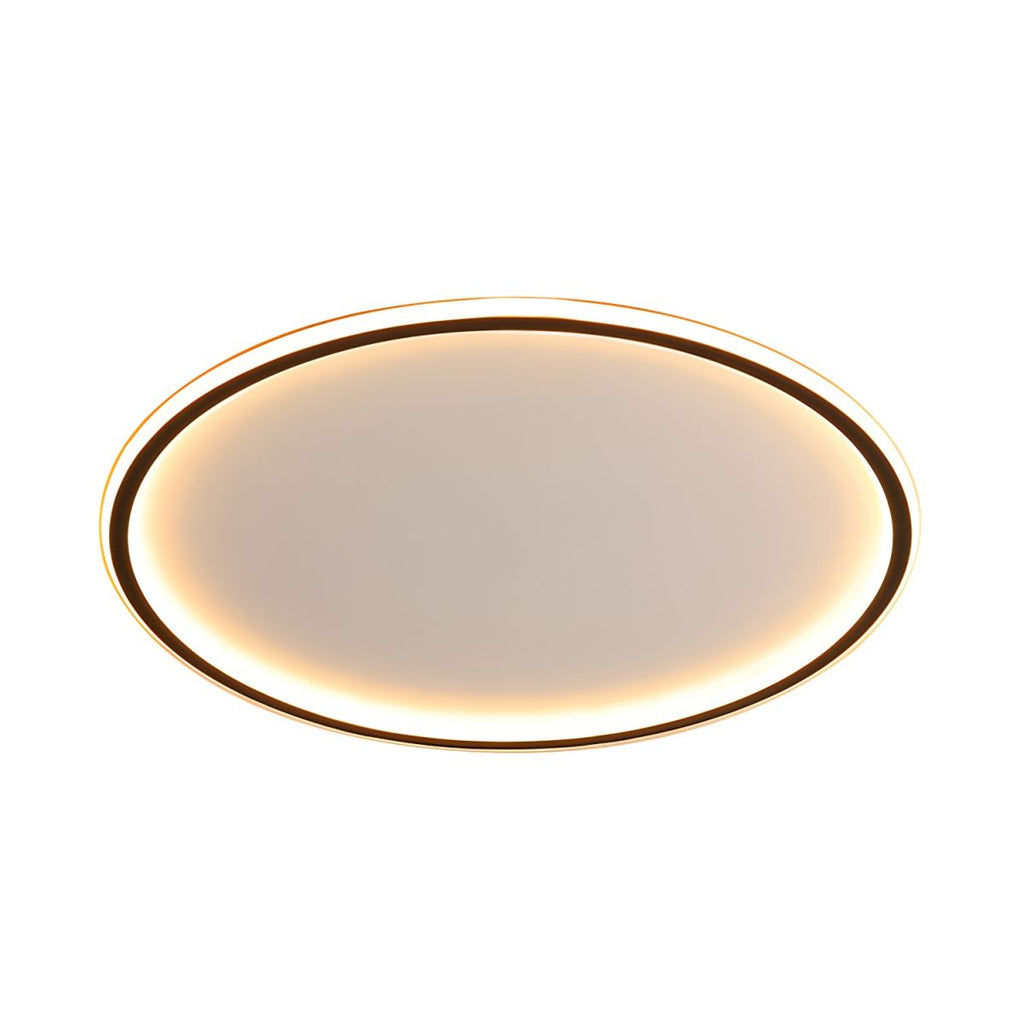 Nordic Style Black Halo Ceiling Light