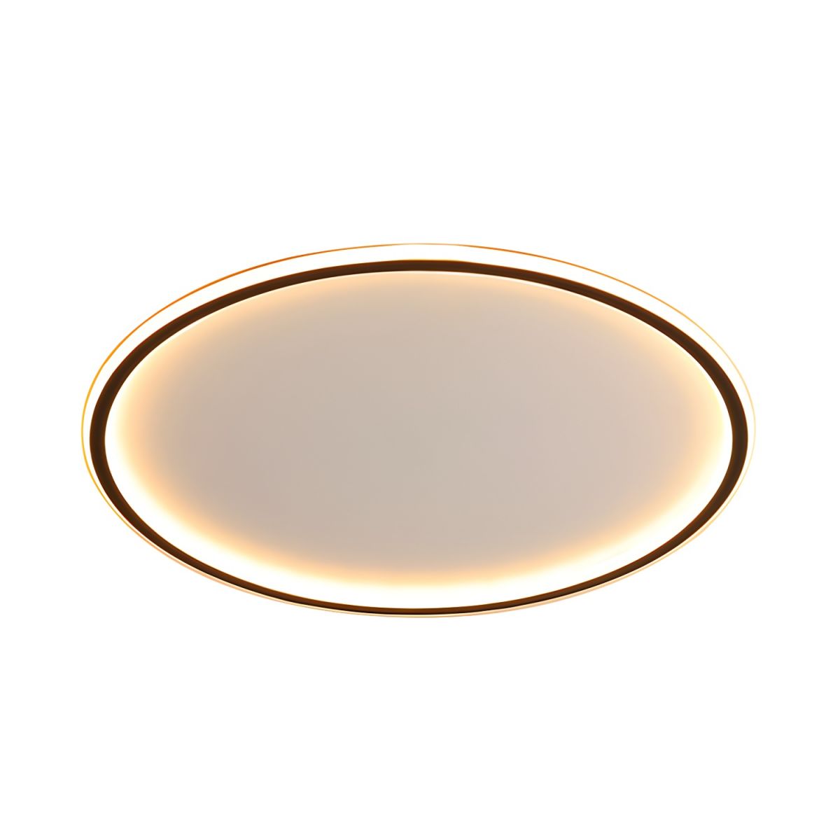 Nordic Style Black Halo Ceiling Light