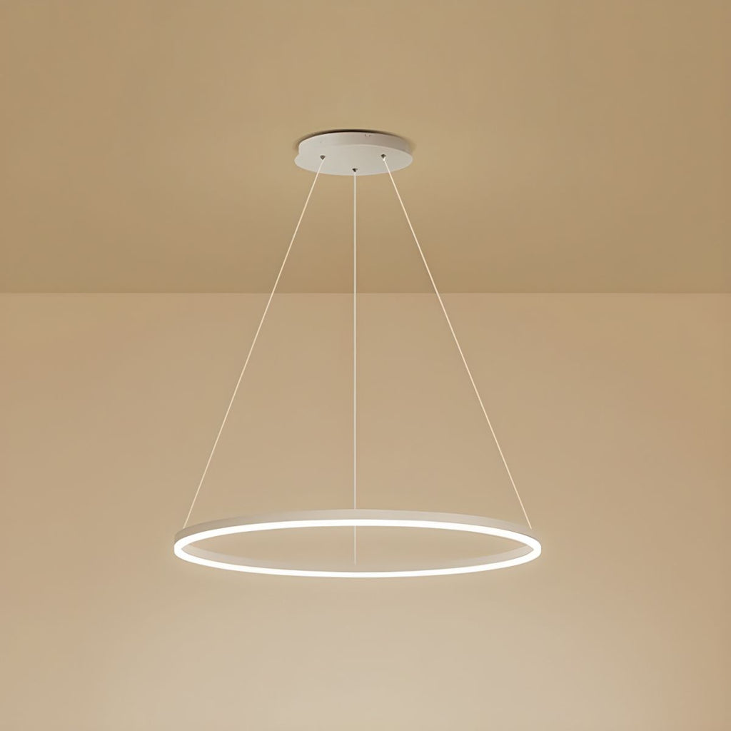 Sculptural Ring Pendant Ceiling Light