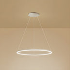 Sculptural Ring Pendant Ceiling Light