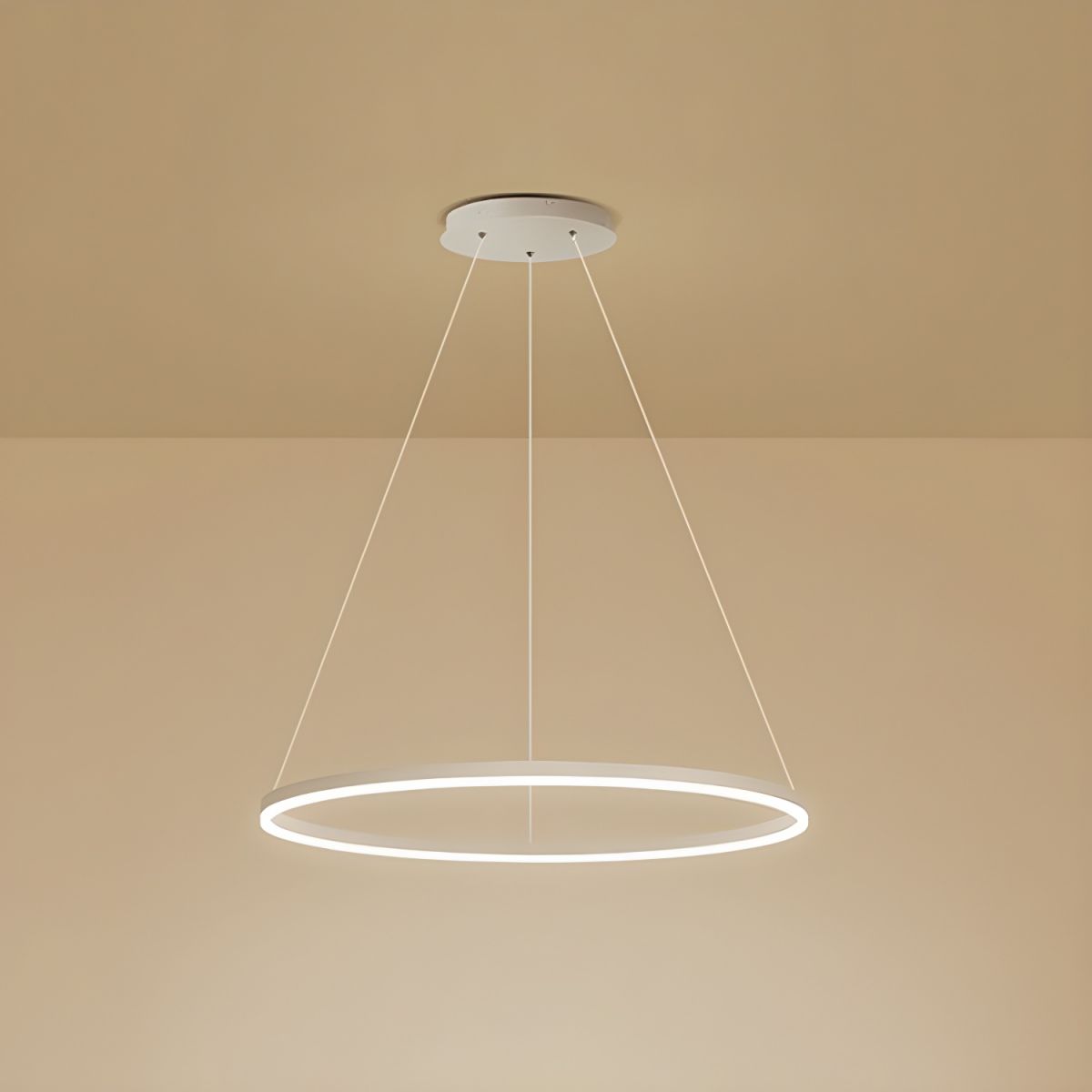 Sculptural Ring Pendant Ceiling Light