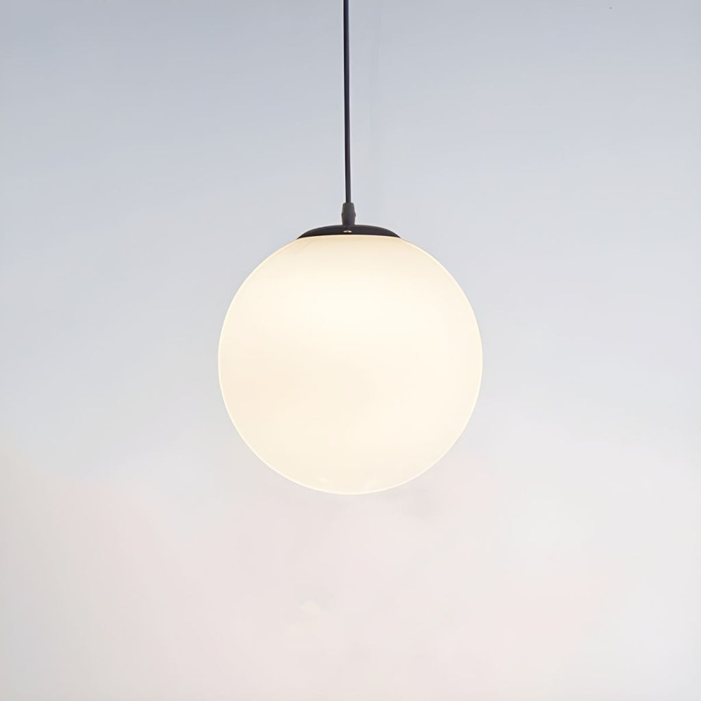 Frosted Globe Pendant Light