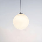 Frosted Globe Pendant Light