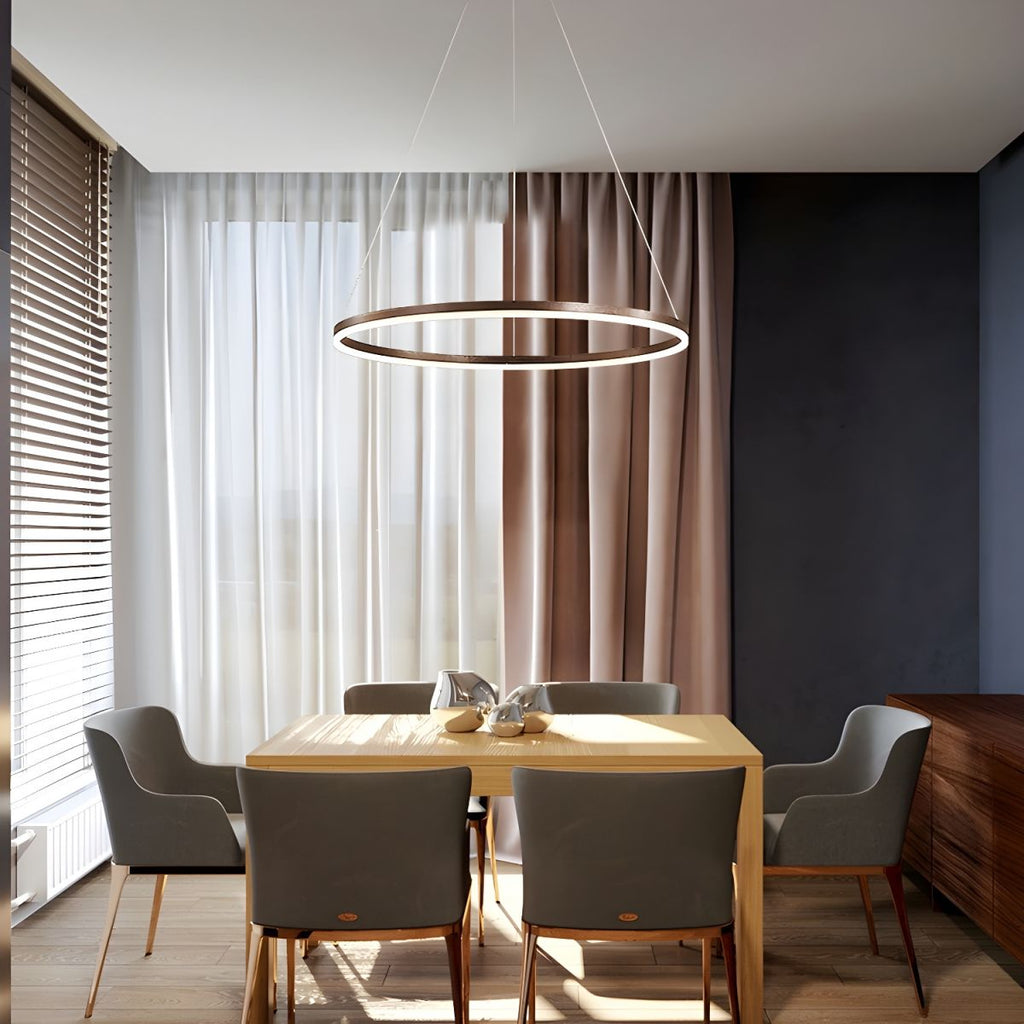 Sculptural Ring Pendant Ceiling Light