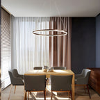 Sculptural Ring Pendant Ceiling Light