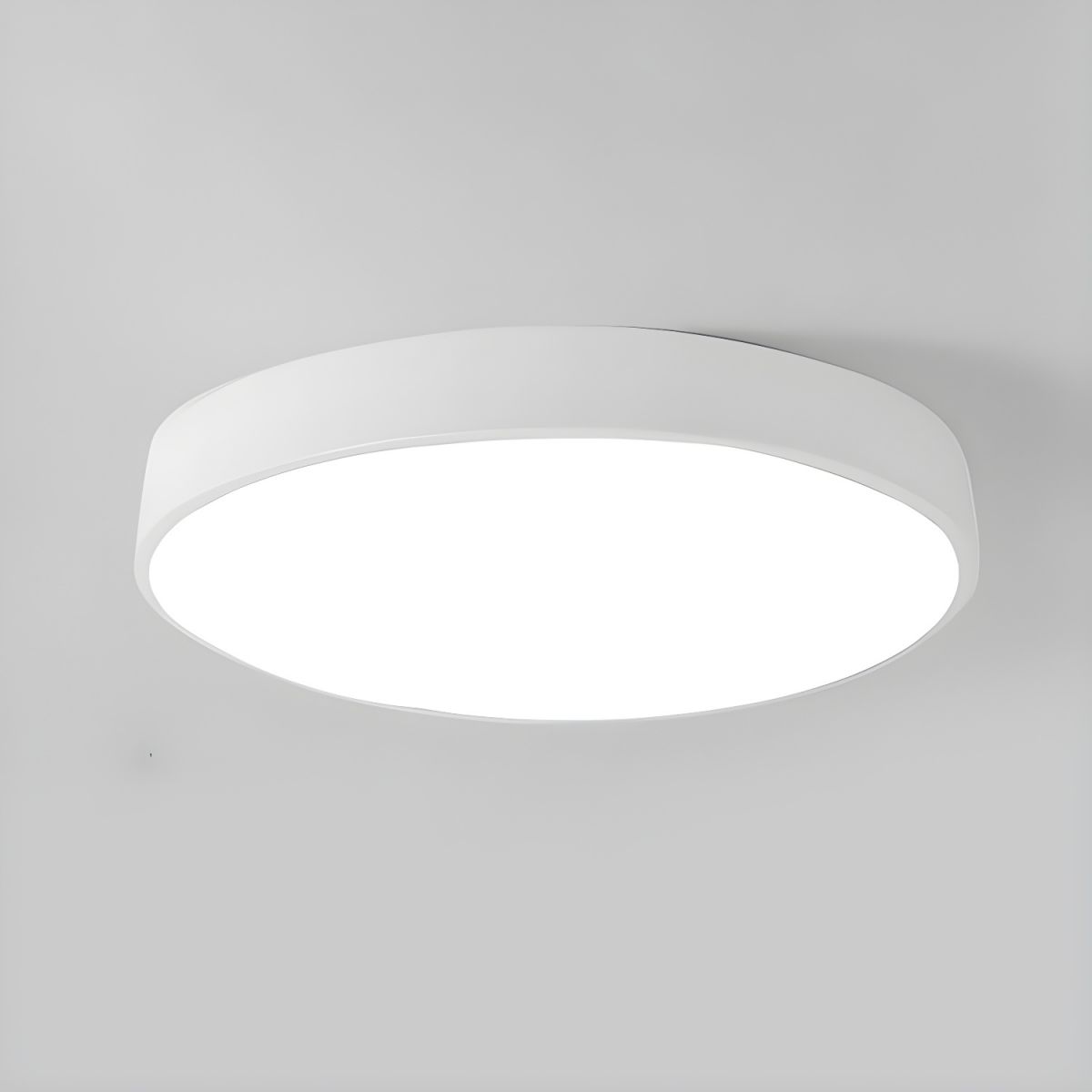 Sculpted Nordic Halo Ceiling Light