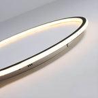 Nordic Style Black Halo Ceiling Light