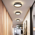 Modern Drum Flush Mount Ceiling Light