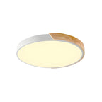 Minimalist Macaron Halo Ceiling Light