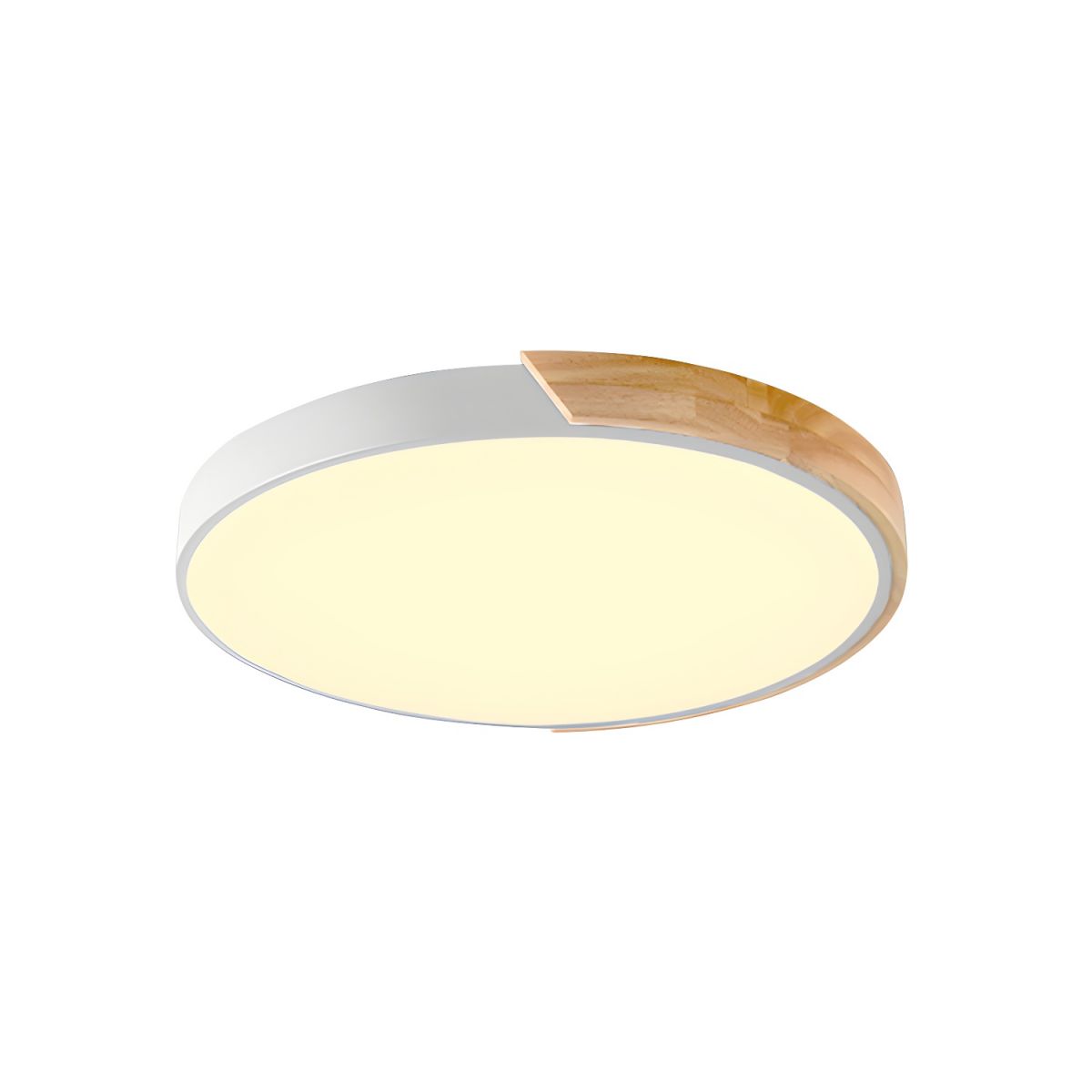 Minimalist Macaron Halo Ceiling Light