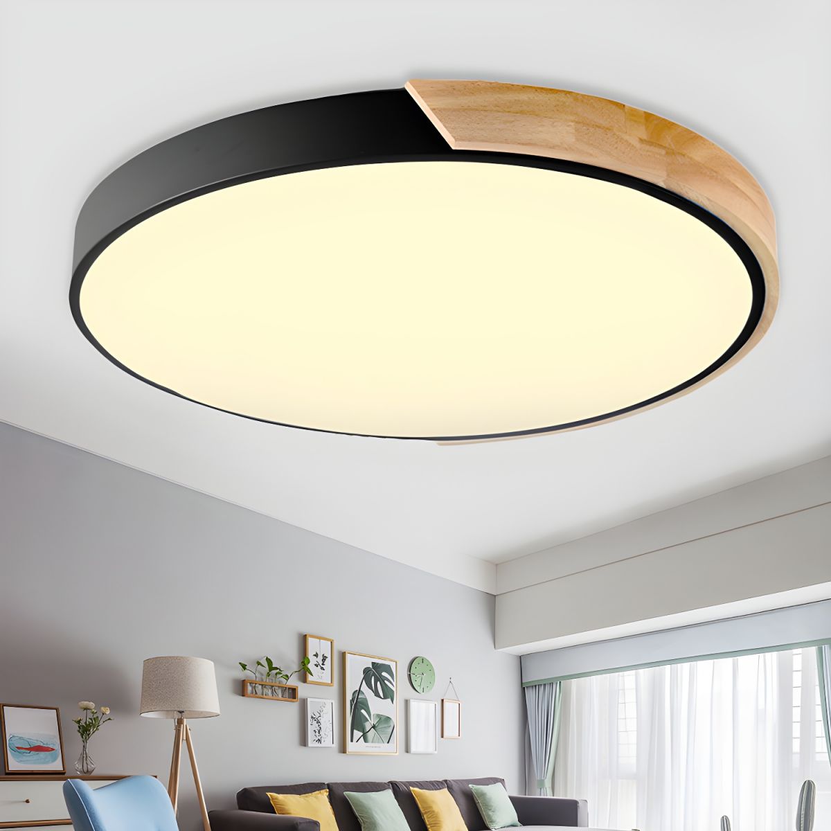Minimalist Macaron Halo Ceiling Light
