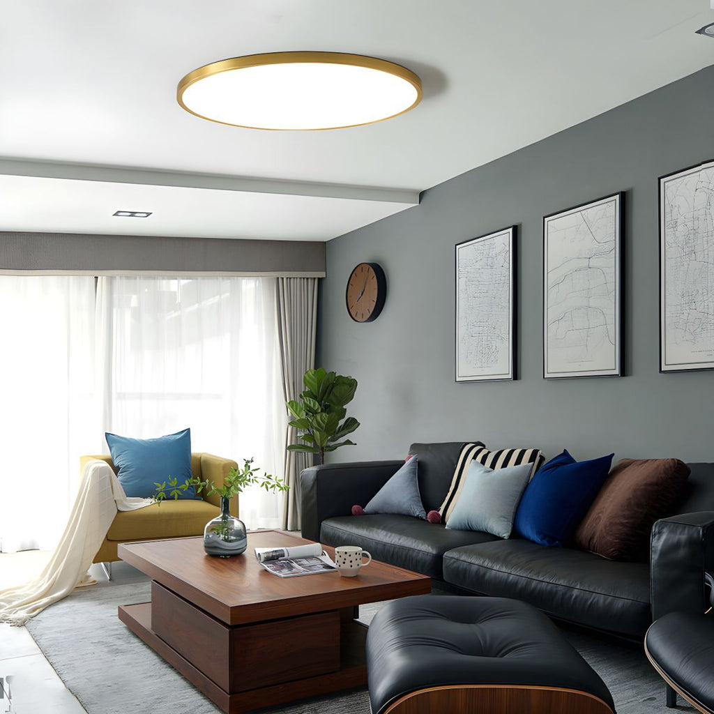 Modern Minimal Disc Ceiling Light