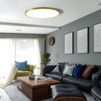 Modern Minimal Disc Ceiling Light