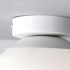 Opal Glass Globe Flush Mount