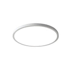 Modern Circular Acrylic Flush Mount