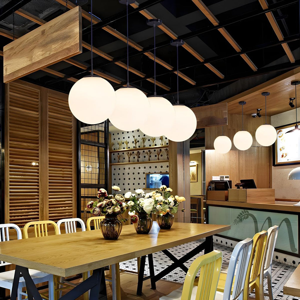 Frosted Globe Pendant Light