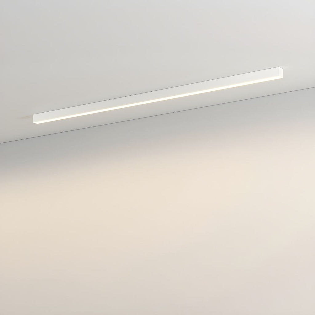 Architectural Strip Flush Ceiling Light