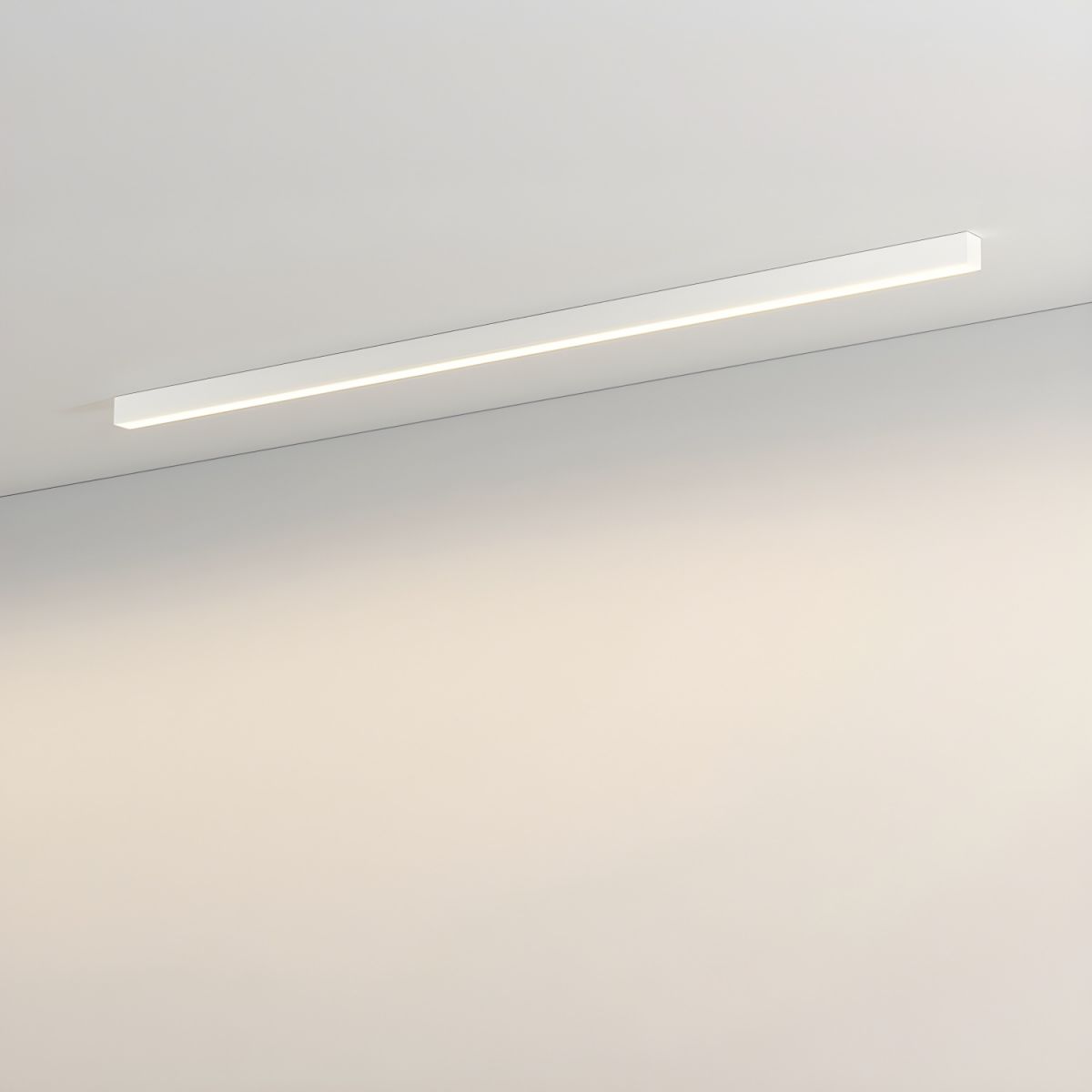 Architectural Strip Flush Ceiling Light