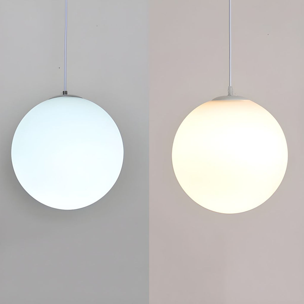 Frosted Globe Pendant Light