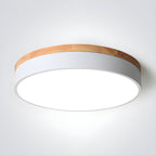Modern Macaron Drum Ceiling Light