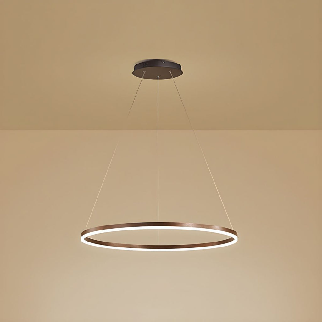 Sculptural Ring Pendant Ceiling Light