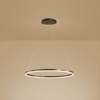 Sculptural Ring Pendant Ceiling Light