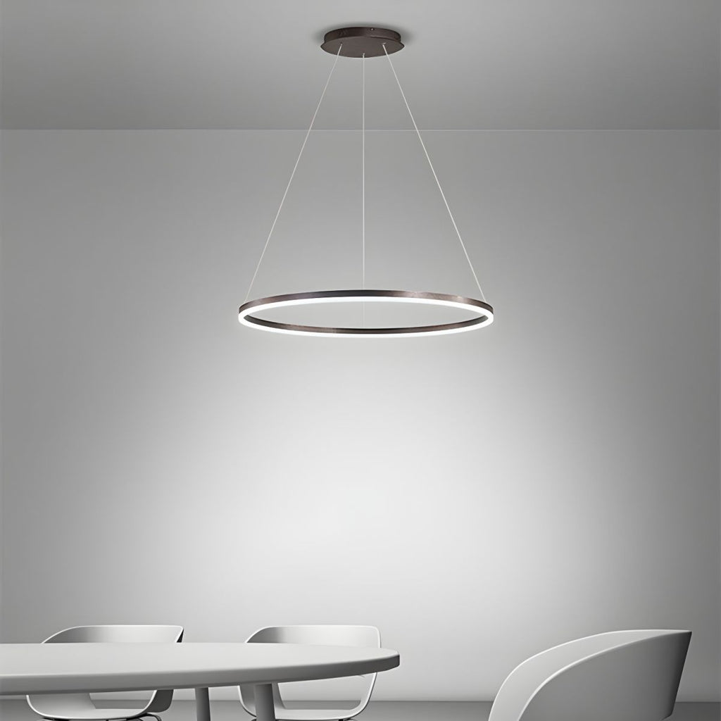 Sculptural Ring Pendant Ceiling Light
