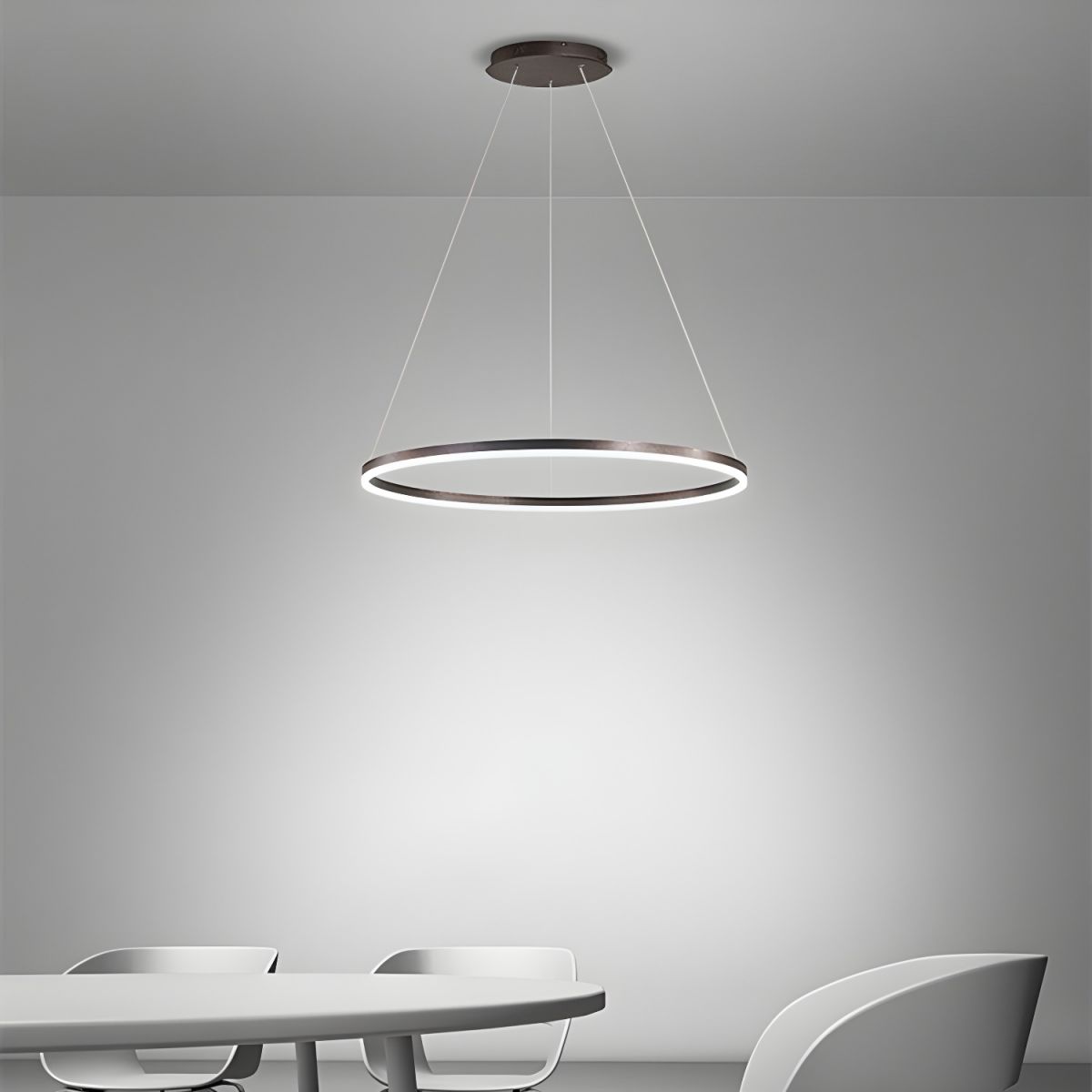 Sculptural Ring Pendant Ceiling Light