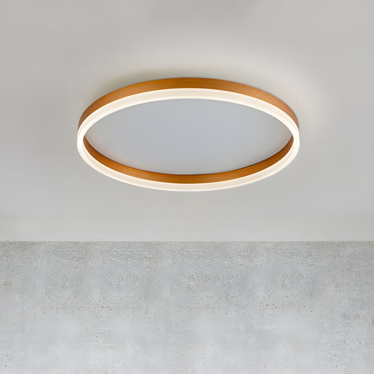 Nordic Minimal Acrylic Disc Ceiling Light