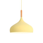 Nordic Metal Teardrop Flush Light