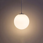 Frosted Globe Pendant Light