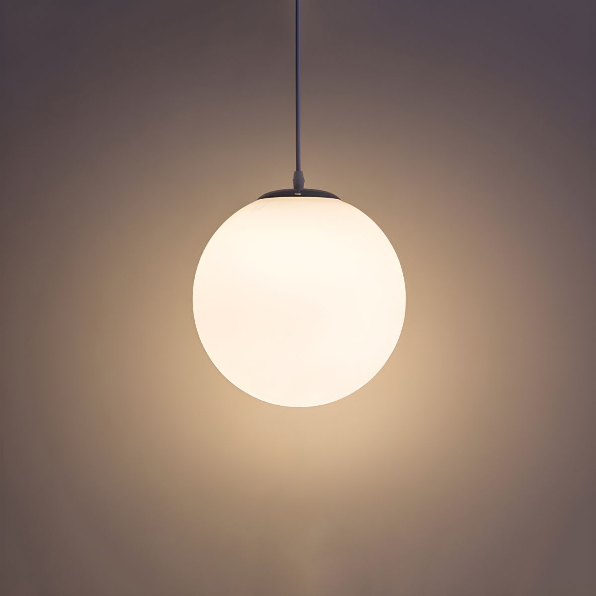 Frosted Globe Pendant Light