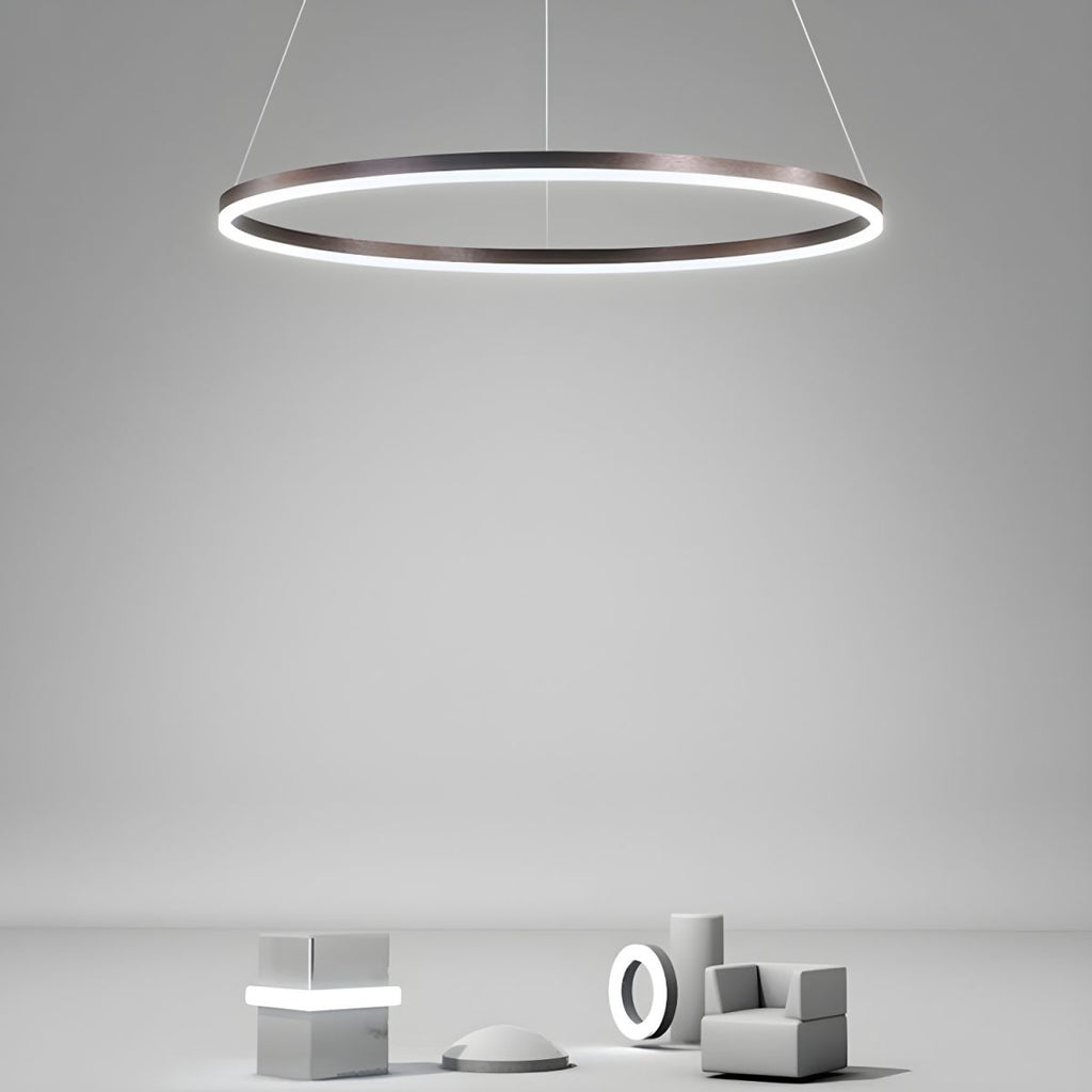 Sculptural Ring Pendant Ceiling Light