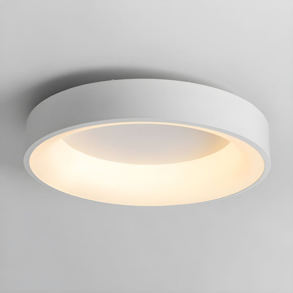 Elevated Round Diffused Ceiling Light