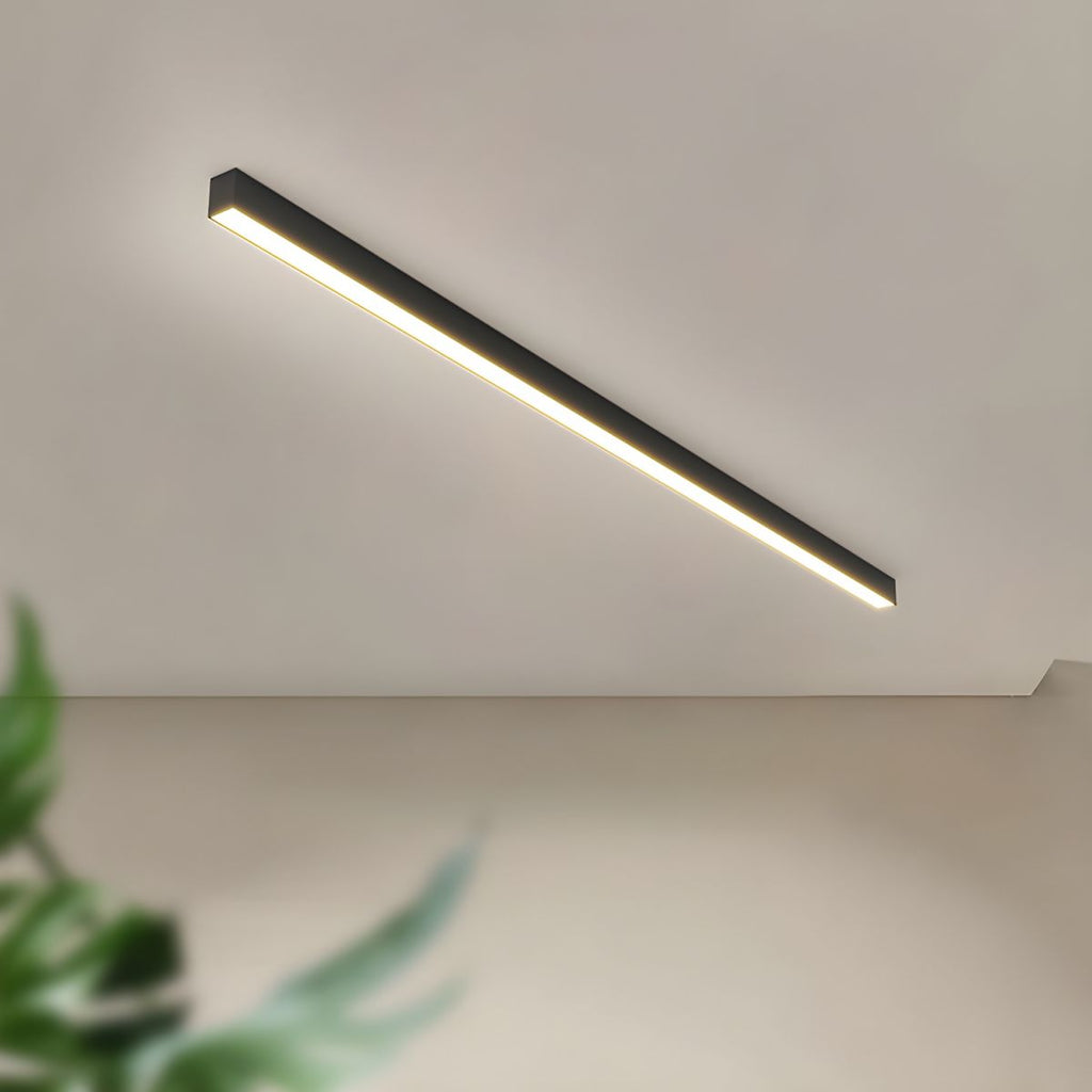 Architectural Strip Flush Ceiling Light