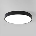 Sculpted Nordic Halo Ceiling Light