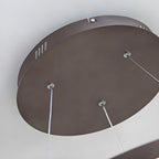 Sculptural Ring Pendant Ceiling Light