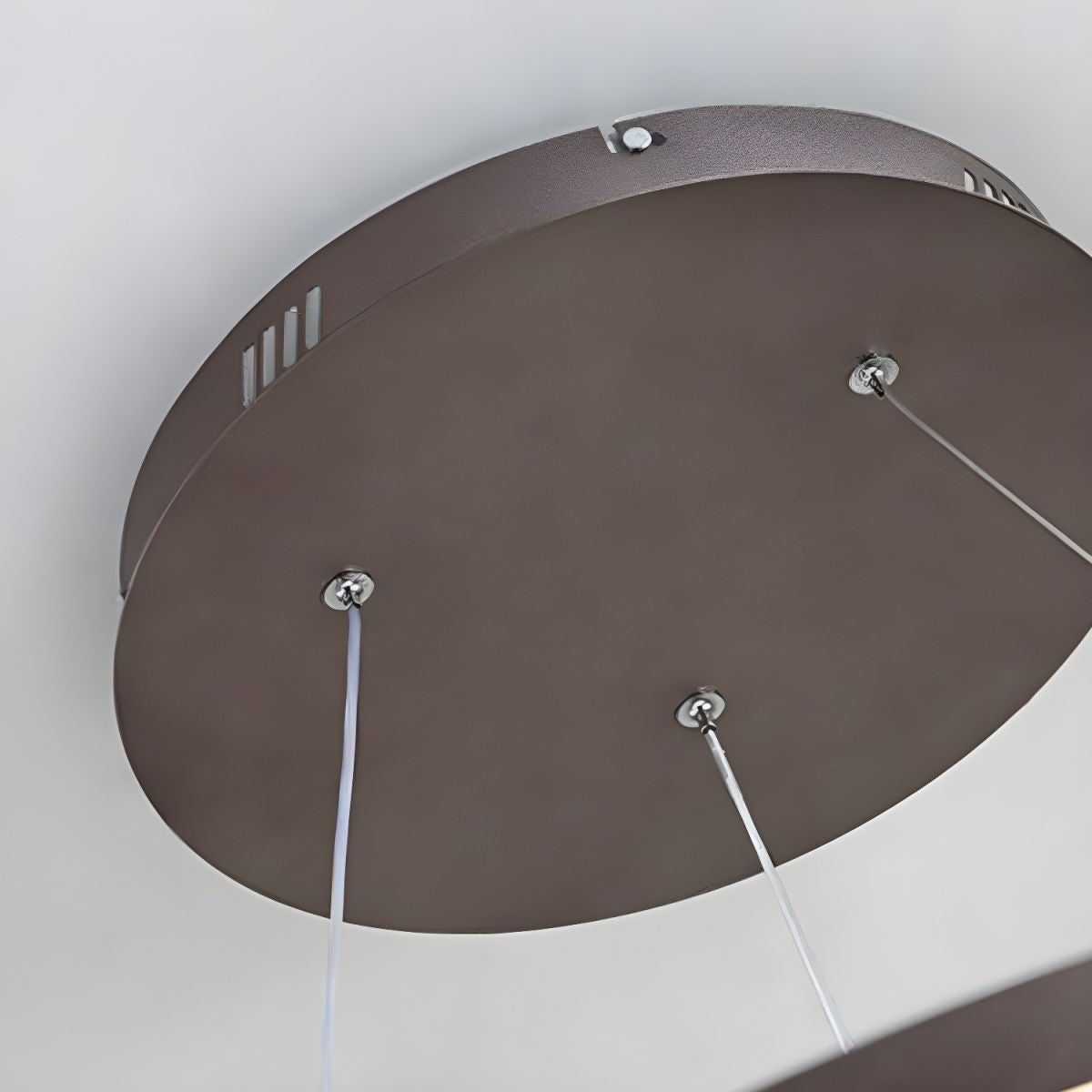 Sculptural Ring Pendant Ceiling Light
