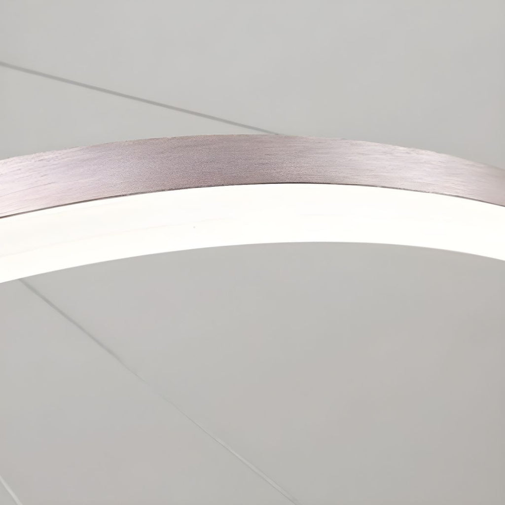 Sculptural Ring Pendant Ceiling Light