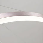 Sculptural Ring Pendant Ceiling Light