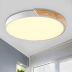 Minimalist Macaron Halo Ceiling Light