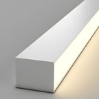 Architectural Strip Flush Ceiling Light