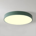 Sculpted Nordic Halo Ceiling Light